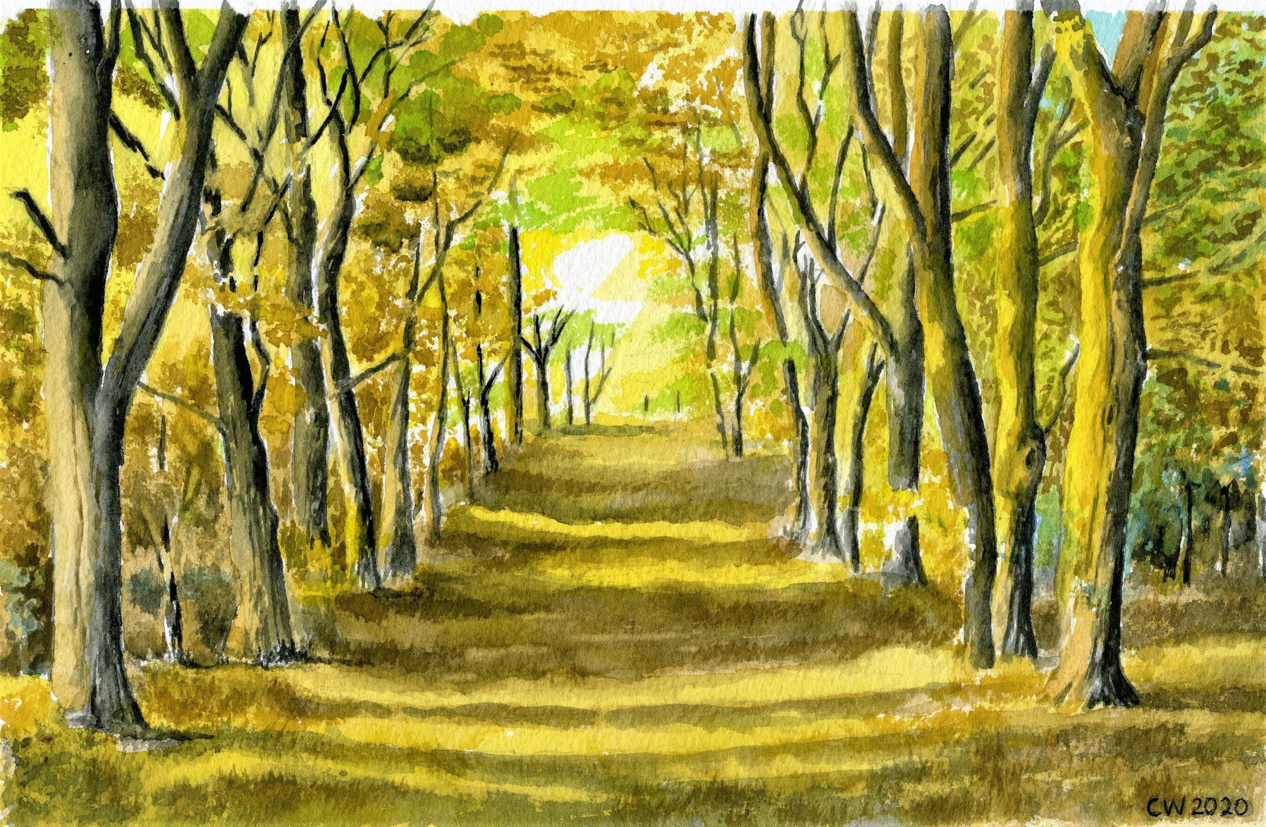 Forest Path 8 x 12