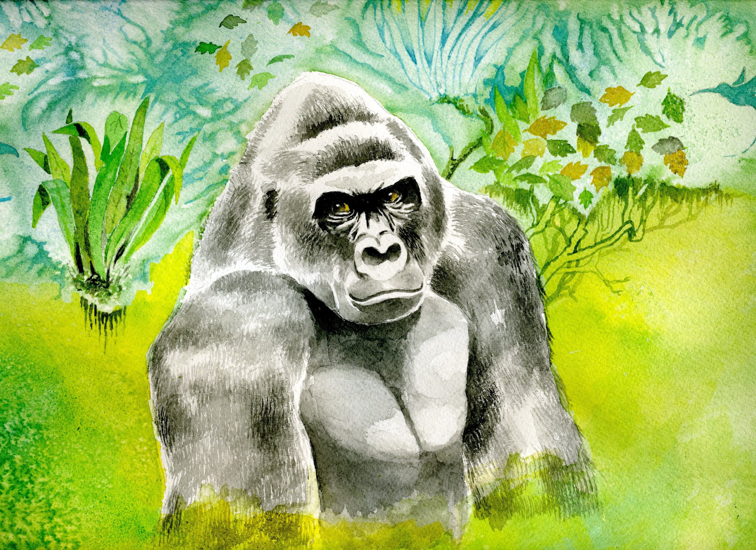 Gorilla in Forest 13 x 19